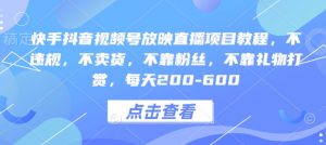 快手抖音视频号放映直播项目教程,不违规,不卖货,不靠粉丝,不靠礼物打赏,每天200-600-知乎者也