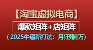 淘宝虚拟电商,2025牛逼新打法:爆款矩阵+店矩阵,月入过万-知乎者也