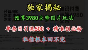 预算3980求带 图片玩法，单条日引流500+精准创业粉，私信根本回不完-知乎者也
