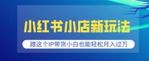 小红书小店新玩法，蹭这个IP带货，小白也能轻松月入过W【揭秘】-知乎者也
