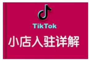 TikTok跨境小店运营全攻略,帮助你独立运营TK跨境小店的能力,实现销量增长-知乎者也