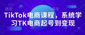 TikTok电商课程，​系统学习TK电商起号到变现-知乎者也
