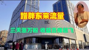 蹭胖东来流量,三天涨万粉,收益直接起飞-知乎者也