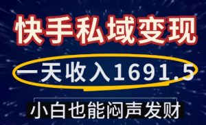 一天收入1691.5,快手私域变现,小白也能闷声发财-知乎者也