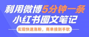 小红书利用微博5分钟一条图文笔记,实现快速涨粉,商单接到手软-知乎者也
