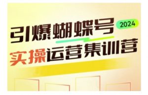 引爆蝴蝶号实操运营,助力你深度掌握蝴蝶号运营,实现高效实操,开启流量变现之路-知乎者也