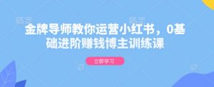 金牌导师教你运营小红书,0基础进阶赚钱博主训练课-知乎者也