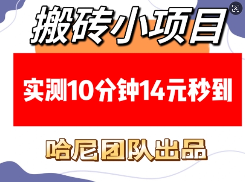 搬砖小项目,实测10分钟14元秒到,每天稳定几张(赠送必看稳定)-知乎者也