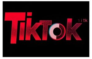 TikTok ads投流秘籍,涵盖tiktok整体投放思路,教你搭建测试计划-知乎者也