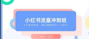 小红书流量冲刺班2025，最懂小红书的女人，快速教你2025年入局小红书-知乎者也