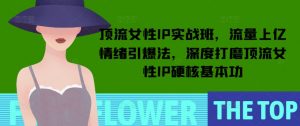 顶流女性IP实战班，流量上亿情绪引爆法，深度打磨顶流女性IP硬核基本功-知乎者也