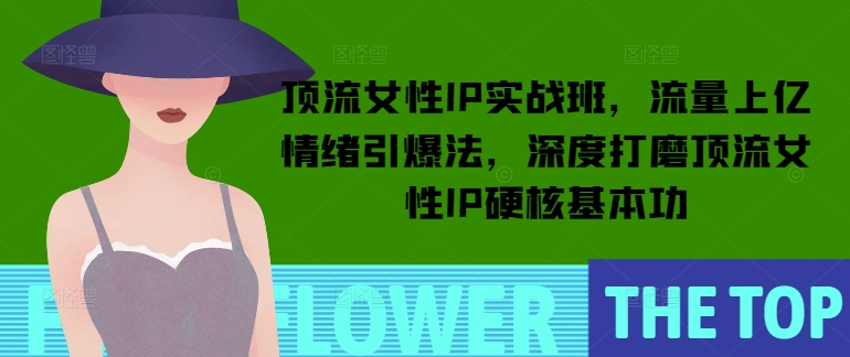 顶流女性IP实战班，流量上亿情绪引爆法，深度打磨顶流女性IP硬核基本功-知乎者也