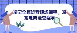 淘宝全套运营现场课程,淘系电商运营必学-知乎者也