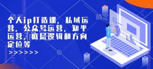 个人ip打造课,私域运营,公众号运营,知乎运营,底层逻辑和方向定位等-知乎者也
