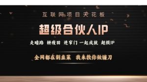 互联网项目天花板，超级合伙人IP，全网都在割韭菜，我来教你做镰刀【仅揭秘】-知乎者也
