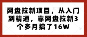 网盘拉新项目,从入门到精通,靠网盘拉新3个多月搞了16W-知乎者也