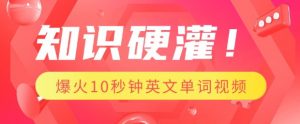 知识硬灌,1分钟教会你,利用AI制作爆火10秒钟记一个英文单词视频-知乎者也