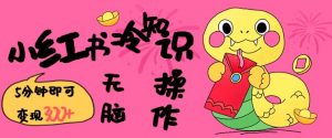 小红书冷知识账号，无脑复制粘贴，5分钟即可变现3张-知乎者也