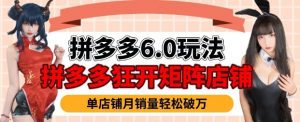 拼多多虚拟商品暴利6.0玩法,轻松实现月入过W-知乎者也