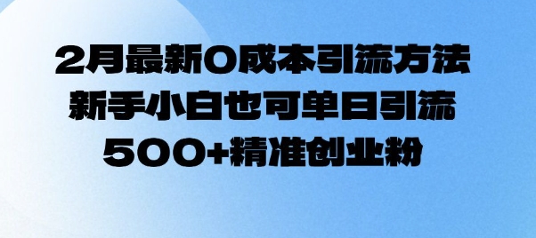 2月最新0成本引流方法,新手小白也可单日引流500+精准创业粉-知乎者也