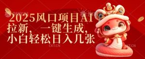 2025风口项目AI拉新,一键生成,小白轻松日入几张-知乎者也