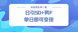男粉引流新方法不违规，当日即可变现-知乎者也