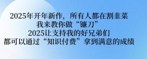 2025年开年新作,所有人都在割韭菜,我来教你做“镰刀” 2025让支持我的好兄弟们都可以通过“知识付费”拿到满意的成绩【揭秘】-知乎者也