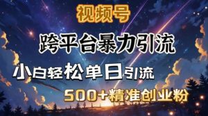 跨平台暴力引流,私域完美闭环,日引500+精准创业粉-知乎者也