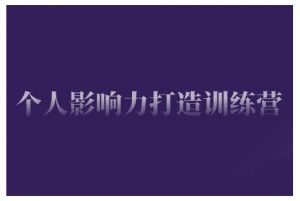 个人影响力打造训练营，掌握公域引流、私域运营、产品定位等核心技能，实现从0到1的个人IP蜕变-知乎者也