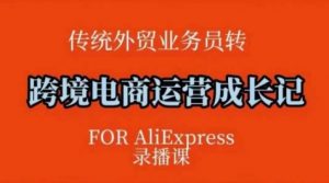 跨境电商速卖通运营课,运营方法论+后台实操,逻辑清晰-知乎者也