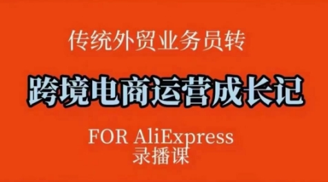 跨境电商速卖通运营课,运营方法论+后台实操,逻辑清晰-知乎者也