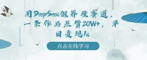 用DeepSeek做养生赛道,一条作品点赞20W+,单日变现1k-知乎者也