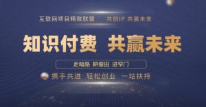 别人苦寻无果,为何他们靠知识付费卖项目 2025 年轻松年入100个?【揭秘】-知乎者也
