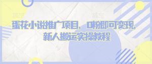 蛋花小说推文项目，0粉即可变现，新人搬运实操教程-知乎者也