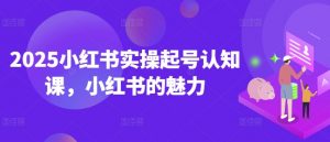 2025小红书实操起号认知课，小红书的魅力-知乎者也