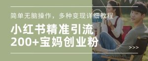 小红书混剪日引200+宝妈创业粉,简单无脑操作,多种变现详细教程-知乎者也