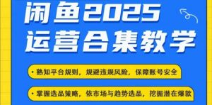 2025闲鱼电商运营全集,2025最新咸鱼玩法-知乎者也