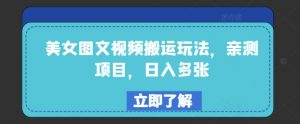 美女图文视频搬运玩法，亲测项目，日入多张-知乎者也