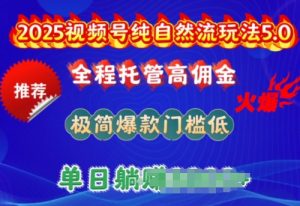 2025视频号纯自然流玩法5.0，全程托管高佣金，极简爆款门槛低，单日收益多张【揭秘】-知乎者也
