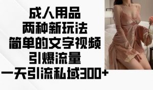 成人用品两种新玩法，简单的文字视频引爆流量，一天引流私域300+-知乎者也