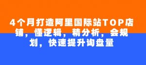 4个月打造阿里国际站TOP店铺,懂逻辑,精分析,会规划,快速提升询盘量-知乎者也