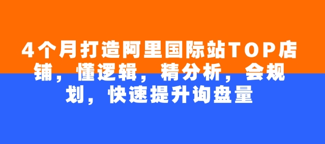 4个月打造阿里国际站TOP店铺,懂逻辑,精分析,会规划,快速提升询盘量-知乎者也