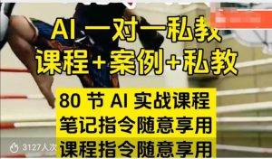 AI指令实战课,课程+案例,80节AI实战课程,笔记指令随意享用,课程指令随意享用-知乎者也
