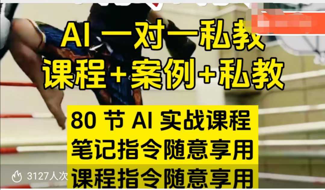 AI指令实战课,课程+案例,80节AI实战课程,笔记指令随意享用,课程指令随意享用-知乎者也