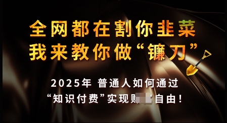 知识付费如何做到月入过W+,2025我来教你做“镰刀”【揭秘】-知乎者也