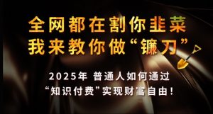 全网都在割你韭菜，我来教你做镰刀，2025年普通人如何通过 知识付费 实现财F自由【揭秘】-知乎者也