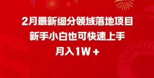 2月最新细分领域落地项目，新手小白也可快速上手，月入1W-知乎者也