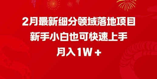 2月最新细分领域落地项目，新手小白也可快速上手，月入1W-知乎者也