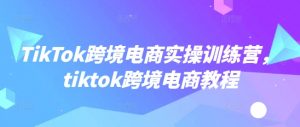TikTok跨境电商实操训练营,tiktok跨境电商教程-知乎者也