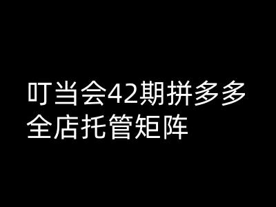 叮当会拼多多打爆班原创高阶技术第42期,拼多多全店托管矩阵-知乎者也